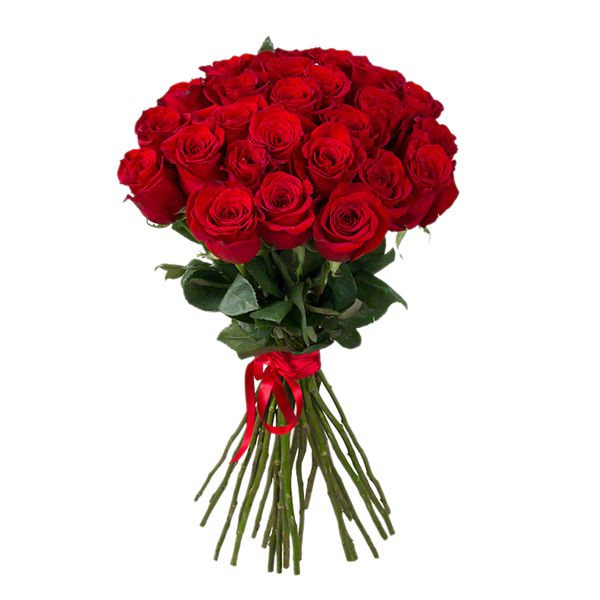  24 Red Roses Bouquet Resim 2