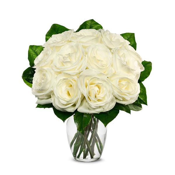 12 White Roses in Vase