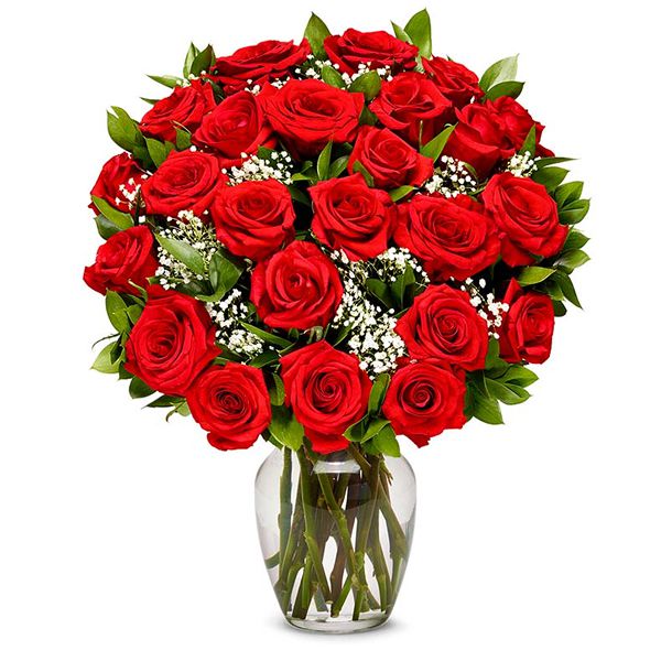 24 Red Roses in Vase