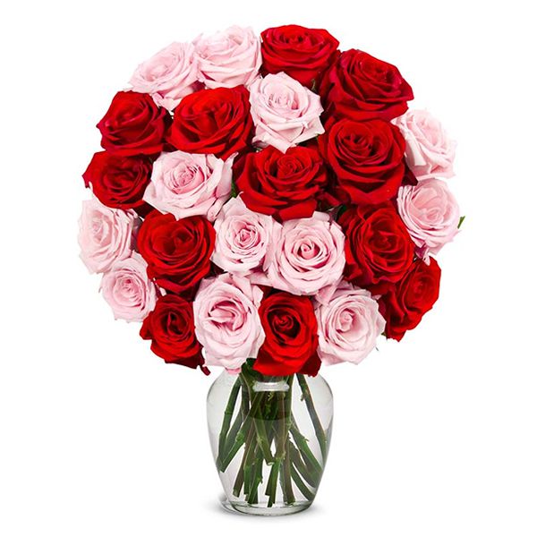 24 Pink and Red Roses in Vase Resim 1