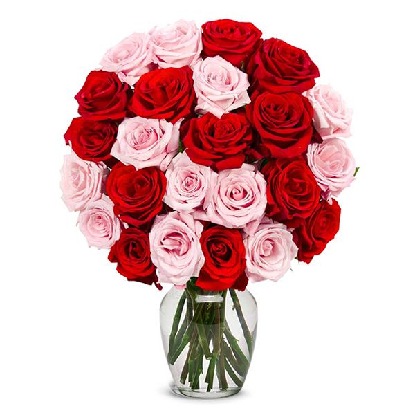 24 Pink and Red Roses in Vase