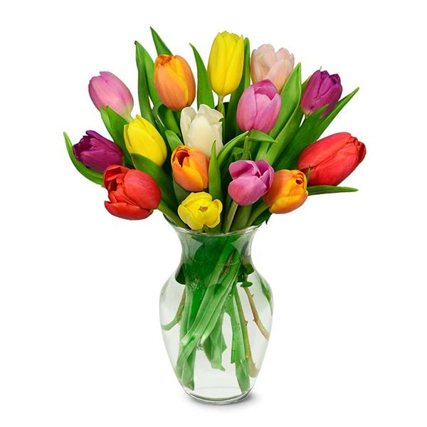 15 Colorful Tulips in Vase