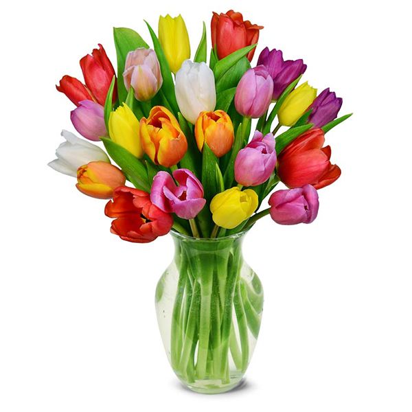 20 Colorful Tulips in Vase Resim 2